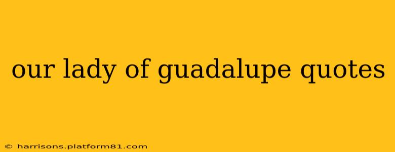 our lady of guadalupe quotes