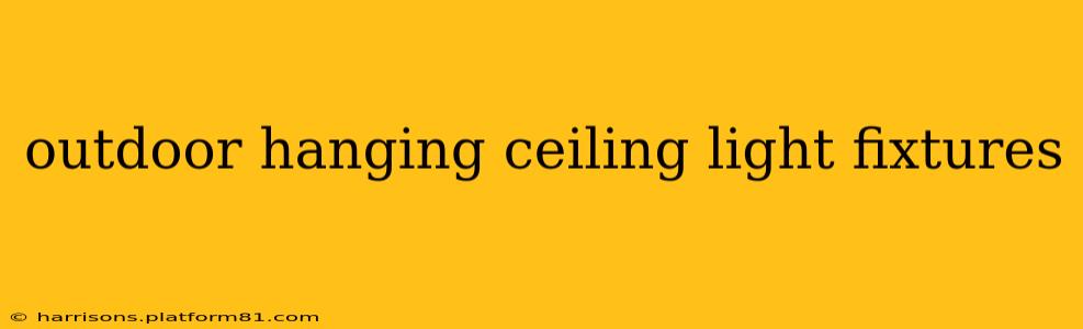 outdoor hanging ceiling light fixtures