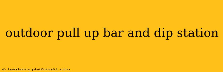 outdoor pull up bar and dip station