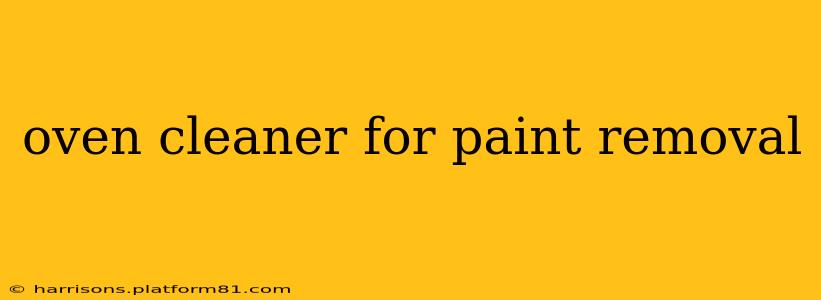 oven cleaner for paint removal