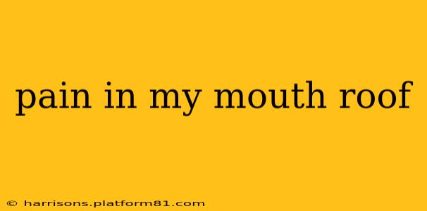 pain in my mouth roof