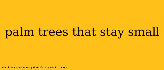 palm trees that stay small