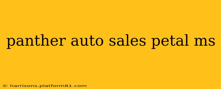 panther auto sales petal ms