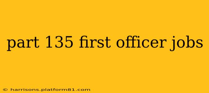 part 135 first officer jobs