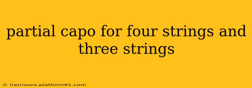 partial capo for four strings and three strings