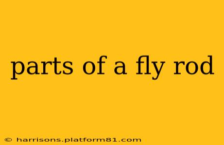 parts of a fly rod