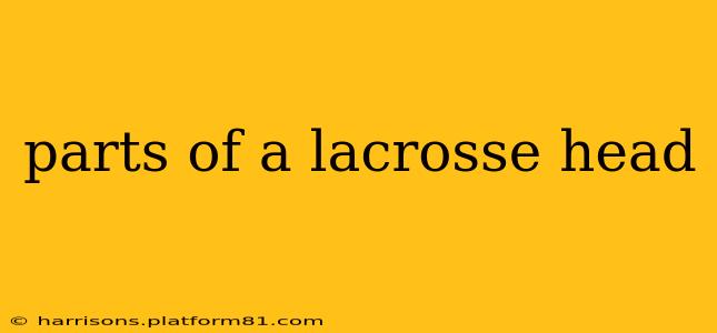 parts of a lacrosse head