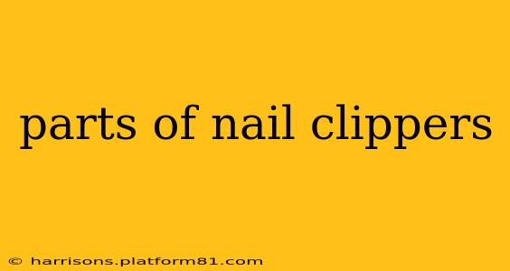parts of nail clippers