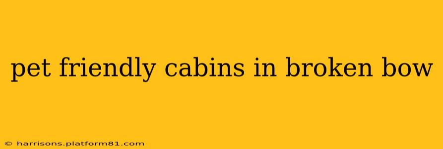 pet friendly cabins in broken bow