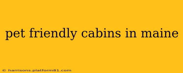 pet friendly cabins in maine