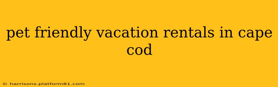 pet friendly vacation rentals in cape cod