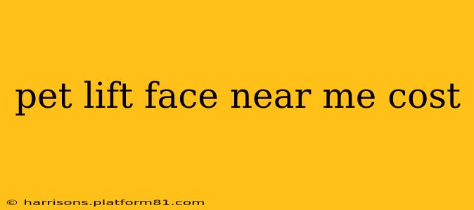 pet lift face near me cost