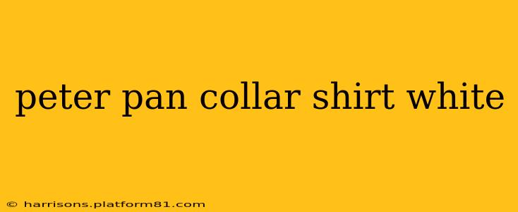 peter pan collar shirt white