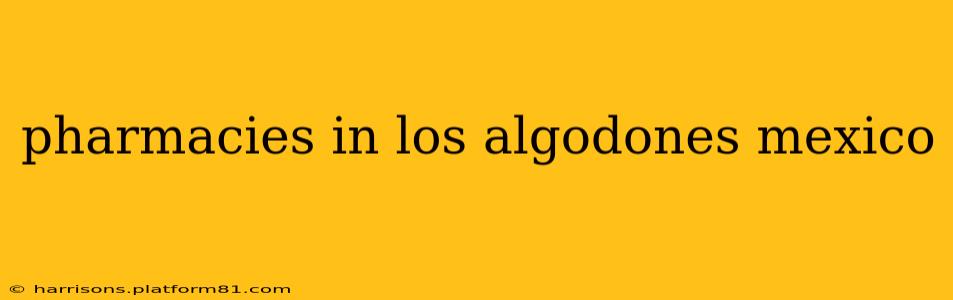 pharmacies in los algodones mexico