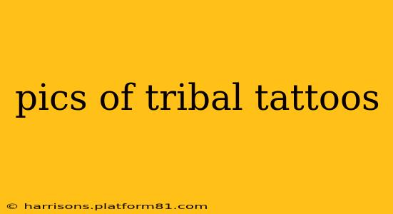 pics of tribal tattoos
