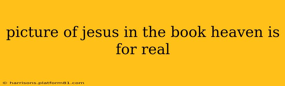 picture of jesus in the book heaven is for real
