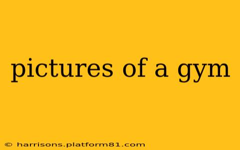 pictures of a gym