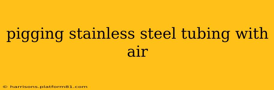 pigging stainless steel tubing with air