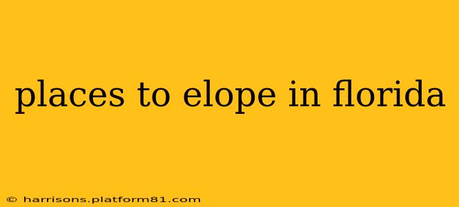 places to elope in florida