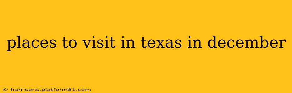 places to visit in texas in december