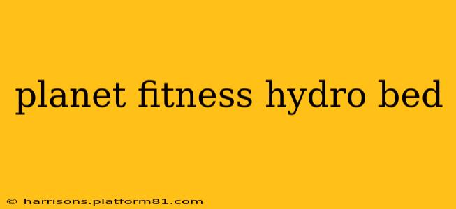 planet fitness hydro bed