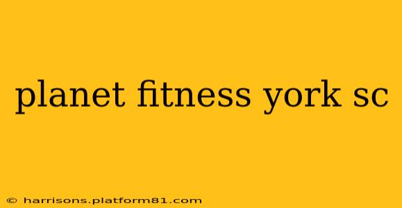 planet fitness york sc