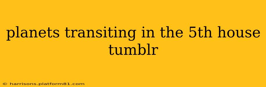planets transiting in the 5th house tumblr