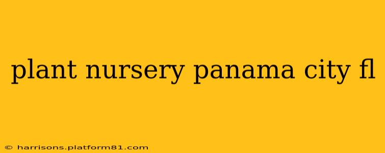 plant nursery panama city fl