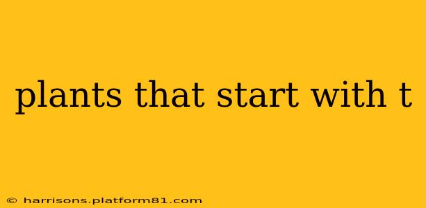 plants that start with t