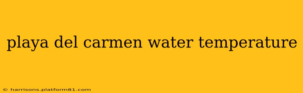 playa del carmen water temperature