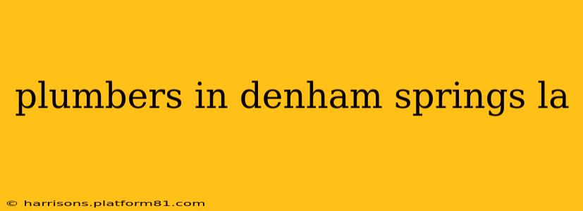 plumbers in denham springs la