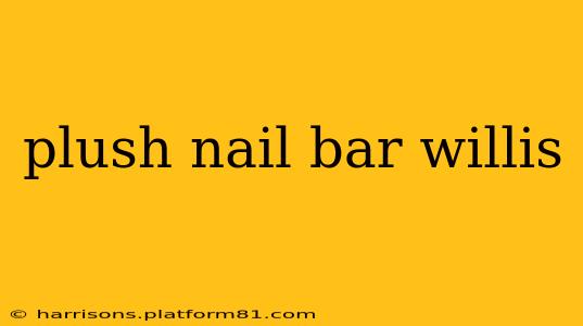 plush nail bar willis