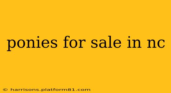 ponies for sale in nc