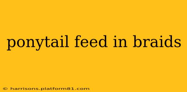 ponytail feed in braids