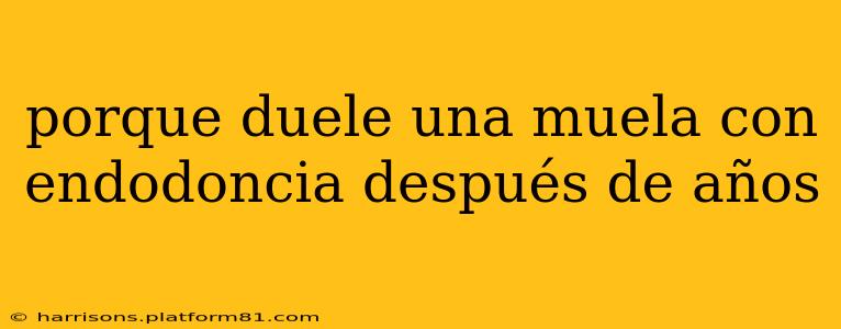 porque duele una muela con endodoncia después de años