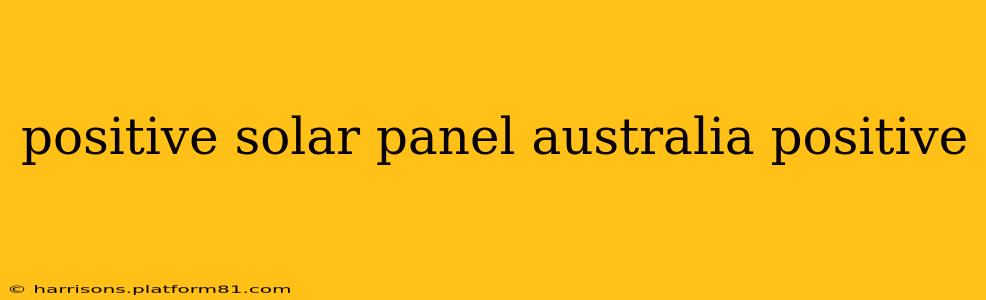 positive solar panel australia positive