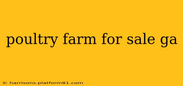 poultry farm for sale ga