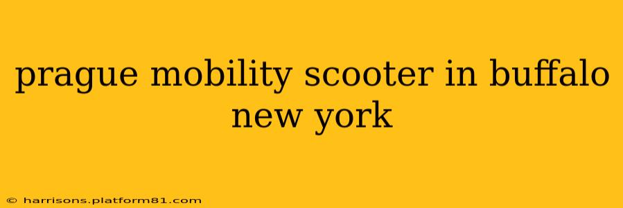 prague mobility scooter in buffalo new york