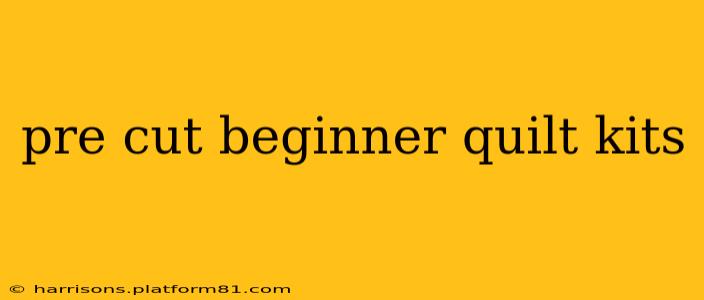 pre cut beginner quilt kits