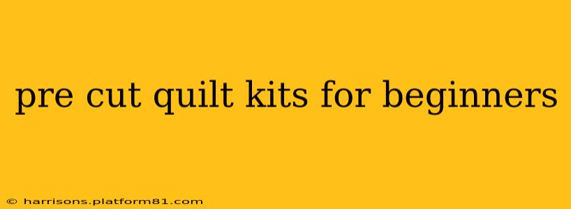 pre cut quilt kits for beginners