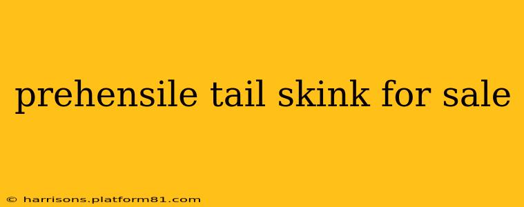 prehensile tail skink for sale
