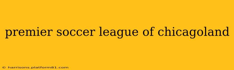 premier soccer league of chicagoland