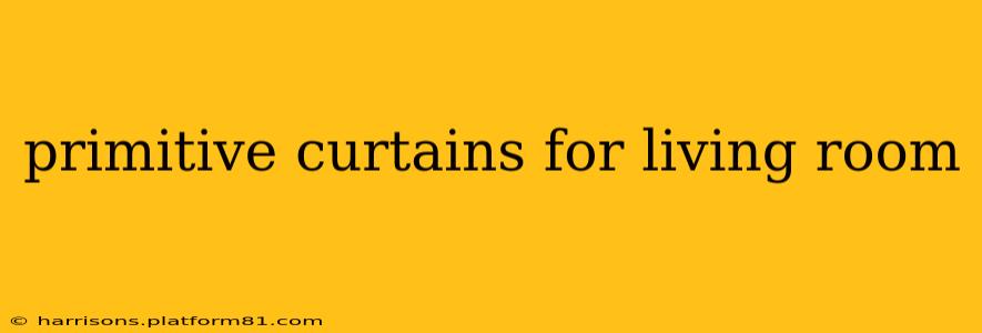 primitive curtains for living room