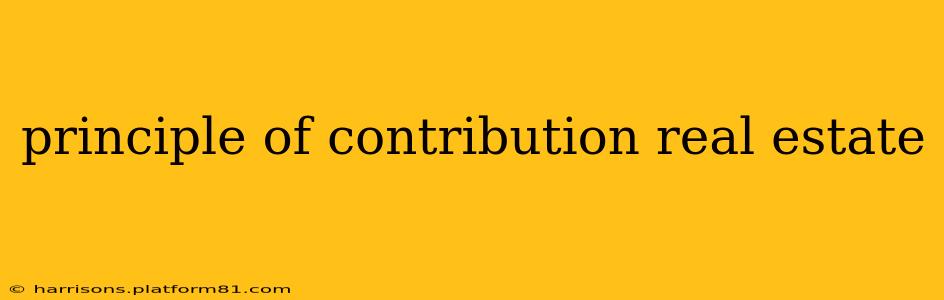 principle of contribution real estate
