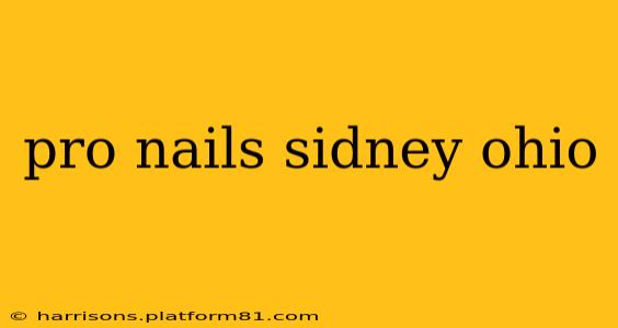 pro nails sidney ohio