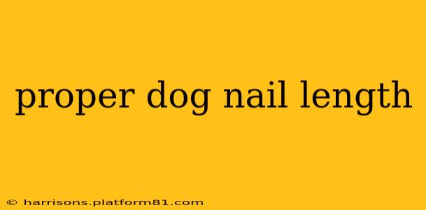 proper dog nail length