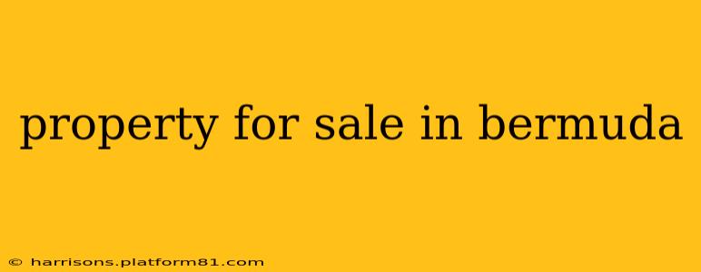 property for sale in bermuda