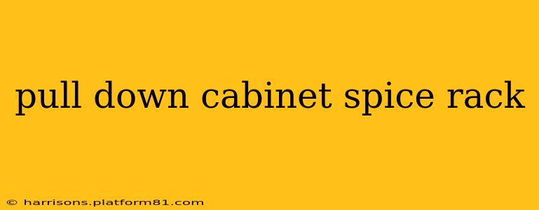 pull down cabinet spice rack