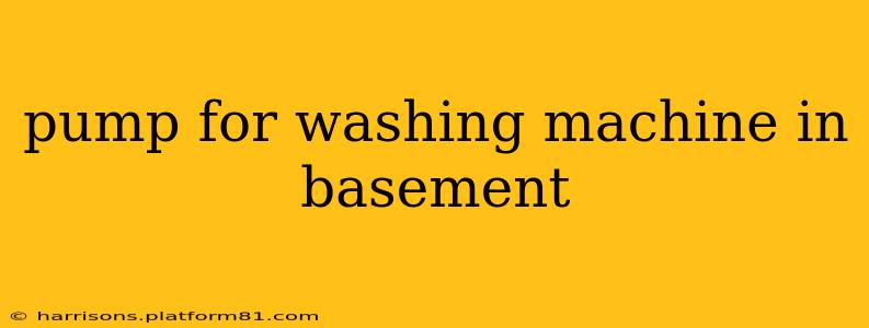 pump for washing machine in basement