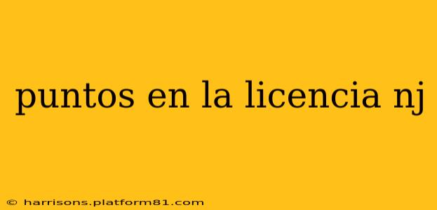 puntos en la licencia nj